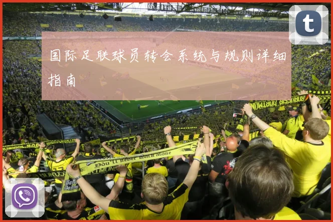 国际足联球员转会系统与规则详细指南