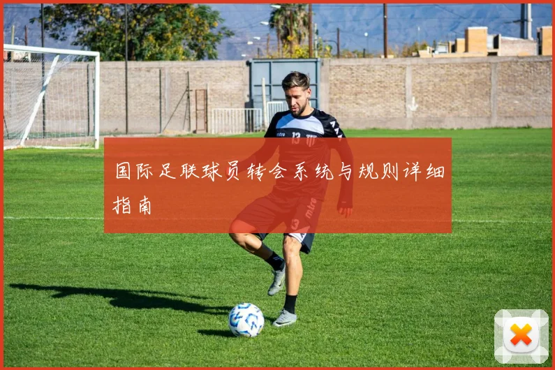 国际足联球员转会系统与规则详细指南